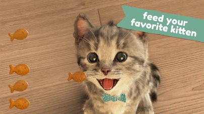 Little Kitten: Virtual Pet Cat screenshot