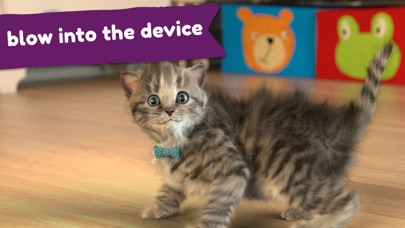 Little Kitten: Virtual Pet Cat screenshot