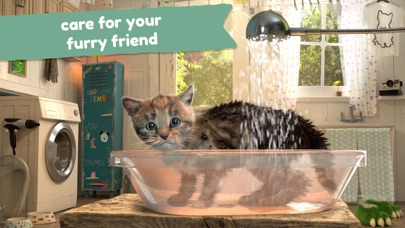 Little Kitten: Cat Adventures screenshot