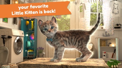 Little Kitten: Cat Adventures screenshot