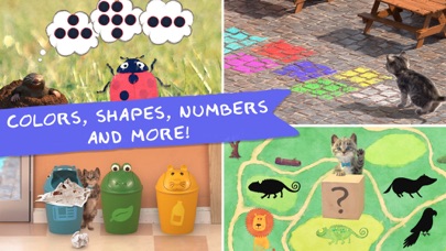 Little Kitten: Pet Cat School screenshot
