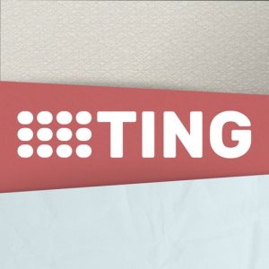 Ting – Percussion Instrument