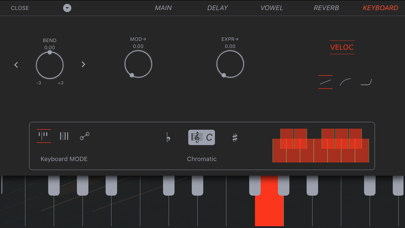 Accordion Vintage screenshot