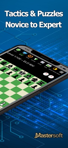 Chess Pro. screenshot