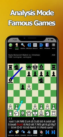 Chess Pro. screenshot