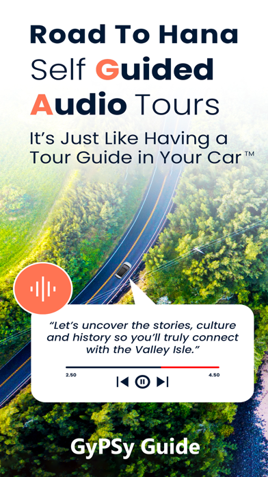 Road to Hana Maui GyPSy Guide screenshot
