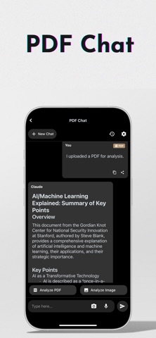 OneAGI : AGI for Everyone screenshot