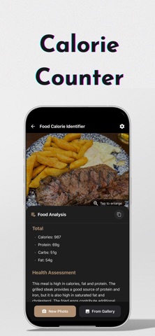 OneAGI : AGI for Everyone screenshot