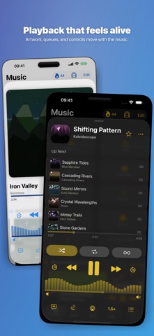 Dee Jellie: Jellyfin Media screenshot