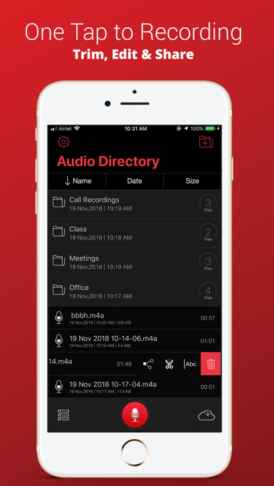 Voice Recorder Plus Pro screenshot