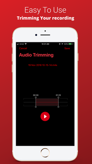 Voice Recorder Plus Pro screenshot