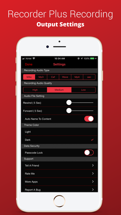 Voice Recorder Plus Pro screenshot