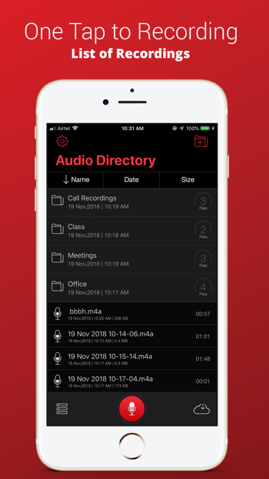 Voice Recorder Plus Pro screenshot