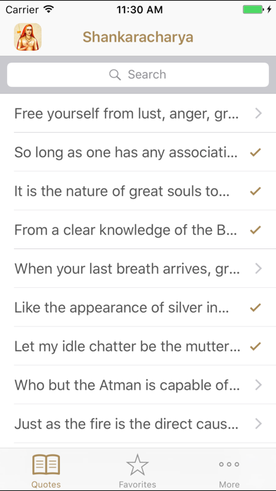 Adi Shankara Quotes of Advaita screenshot