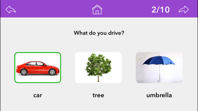 Wh Questions by Teach Speech screenshot