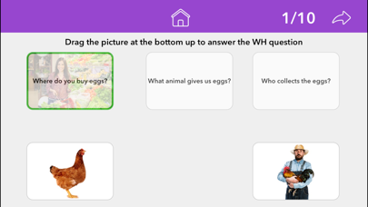 Wh Questions by Teach Speech screenshot