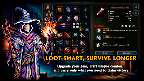 Pocket Rogues: Ultimate screenshot
