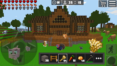 WorldCraft: 3D Block Craft screenshot