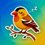 Sleep Little Finch