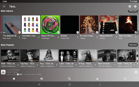 USB Audio Player PRO screenshot