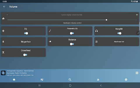 USB Audio Player PRO screenshot