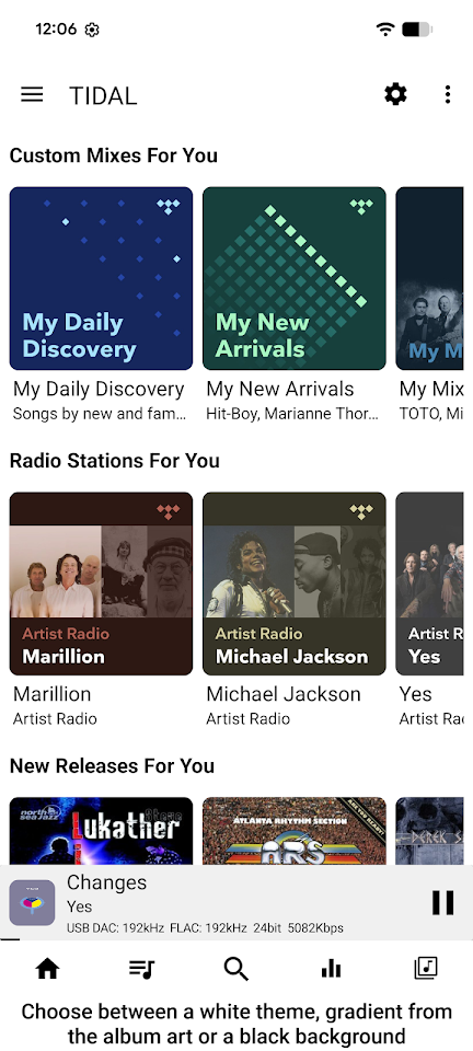 USB Audio Player PRO screenshot
