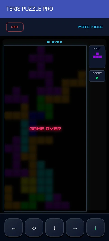 TERIS PUZZLE PRO screenshot
