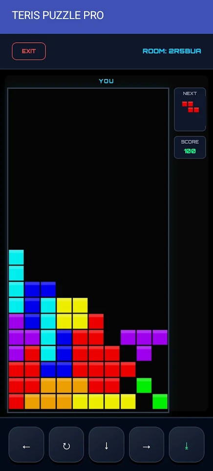 TERIS PUZZLE PRO screenshot