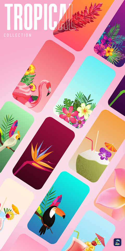 WallStory screenshot