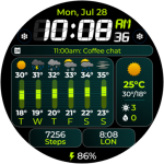 Chester Weather info