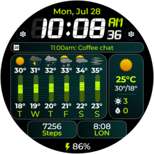 Chester Weather info
