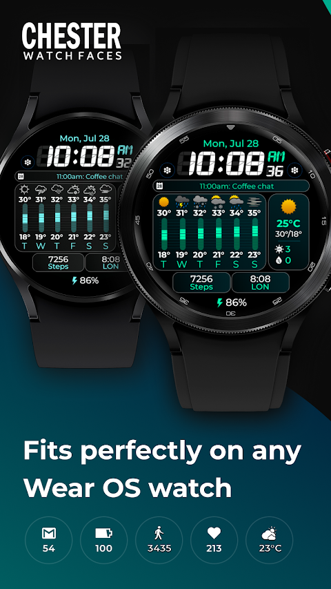 Chester Weather info screenshot