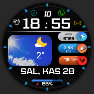 FSW248 digital Watchface