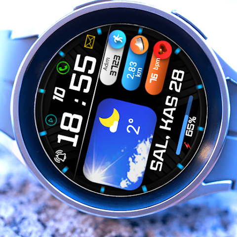 FSW248 digital Watchface screenshot
