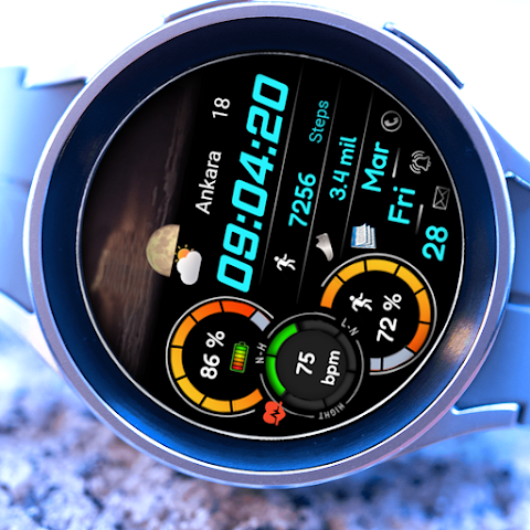Animated FSW284 Digital screenshot