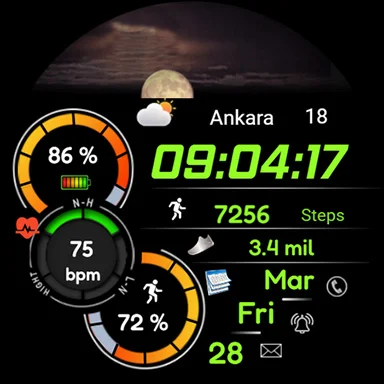Animated FSW284 Digital screenshot