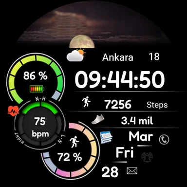 Animated FSW284 Digital screenshot