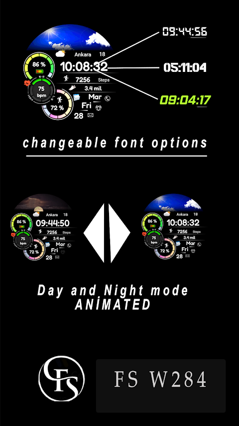 Animated FSW284 Digital screenshot