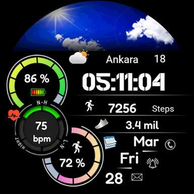 Animated FSW284 Digital screenshot