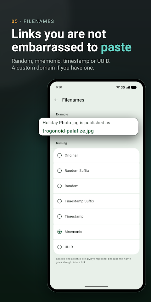 Dropshare – File Sharing Tool screenshot
