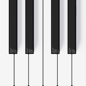 Mini Piano Pro