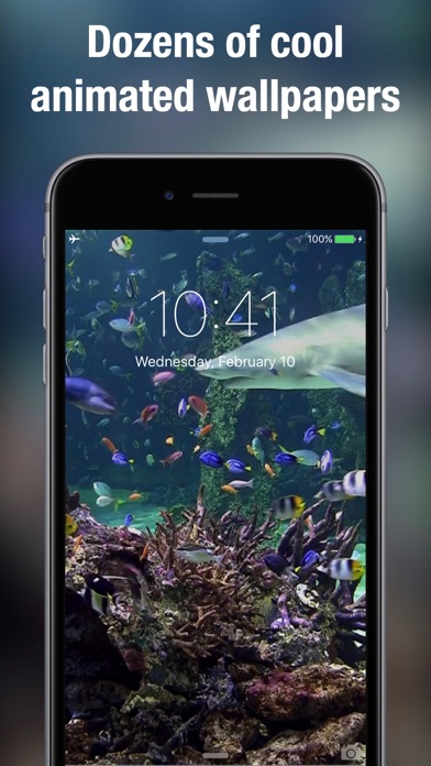 Live Photo Wallpaper Maker+ screenshot