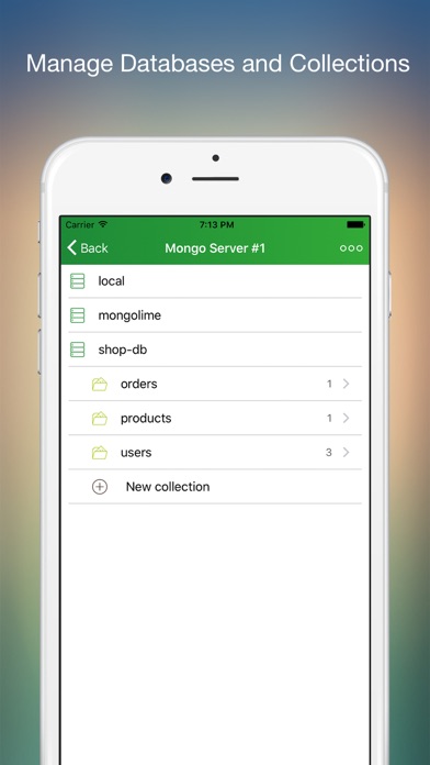 MongoLime – manage databases screenshot