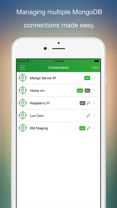 MongoLime – manage databases screenshot