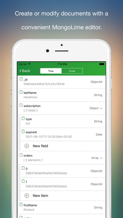 MongoLime – manage databases screenshot