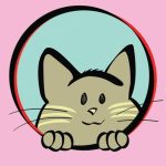 Cat Lady – The Card Game