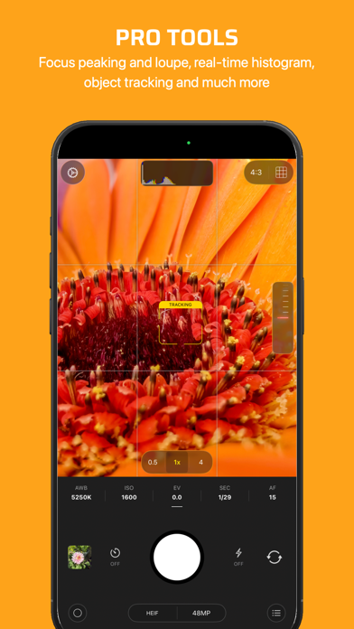 Chromatica Mark II screenshot
