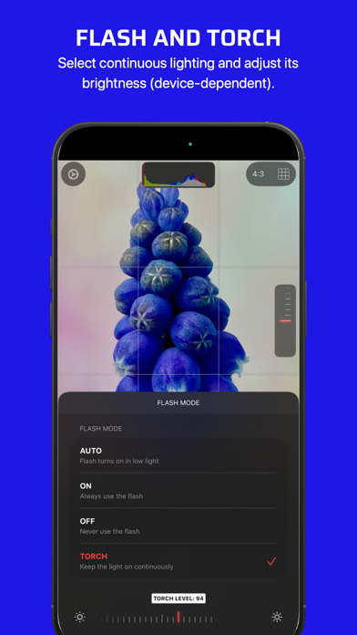 Chromatica Mark II screenshot