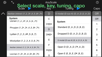 AnyScale – Tunings & Scales screenshot