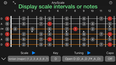 AnyScale – Tunings & Scales screenshot